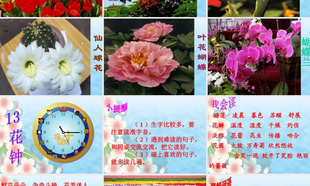 三年级13《花钟》课件