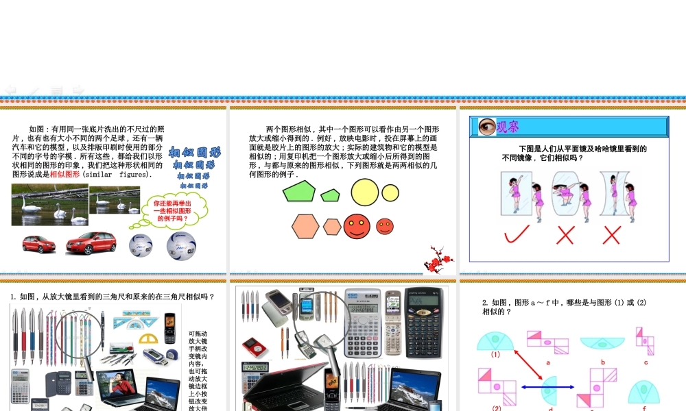 《图形的相似》参考课件1