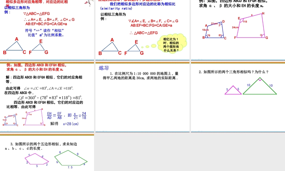 《图形的相似》参考课件1