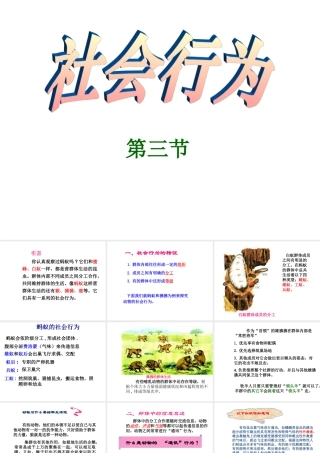 社会行为课件