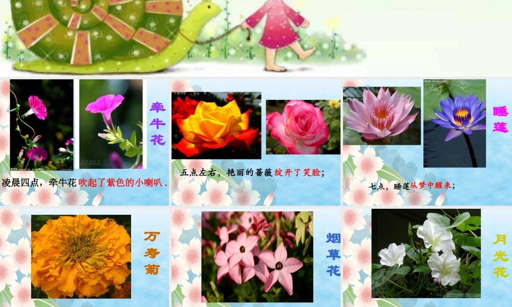 观察日记——三年级语文作文