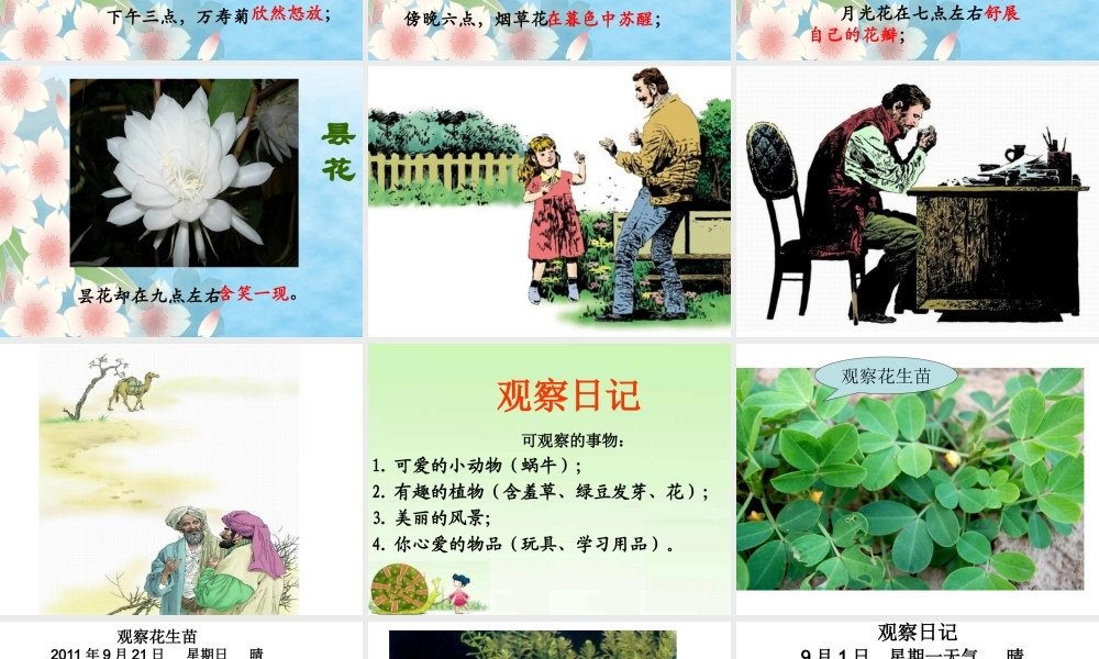 观察日记——三年级语文作文