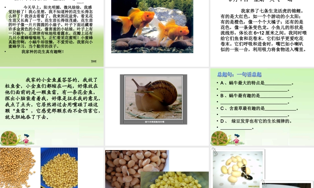 观察日记——三年级语文作文