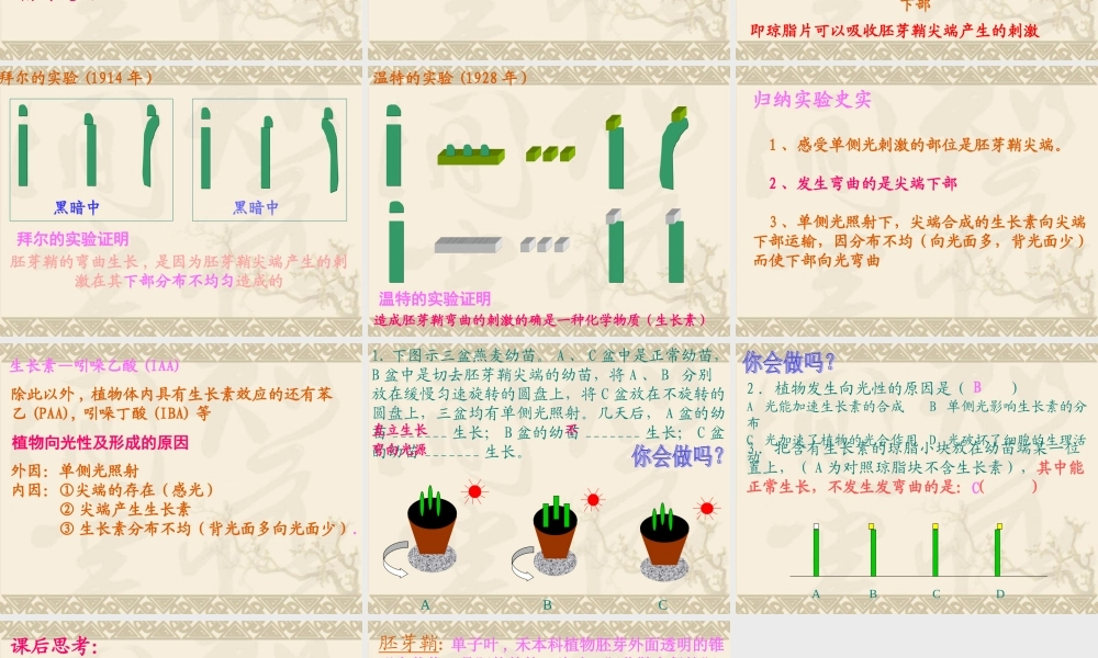 参赛课件植物生长素的发现