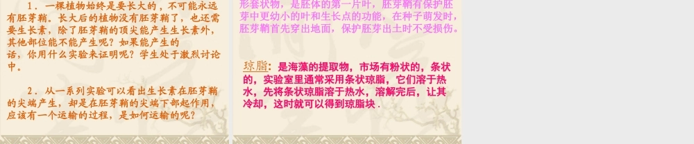 参赛课件植物生长素的发现