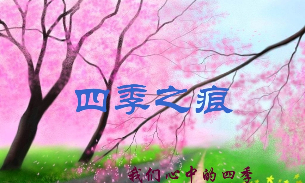 四季文笔精华练习