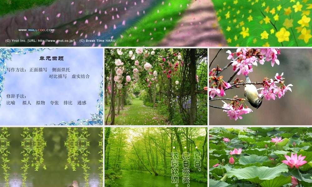 四季文笔精华练习