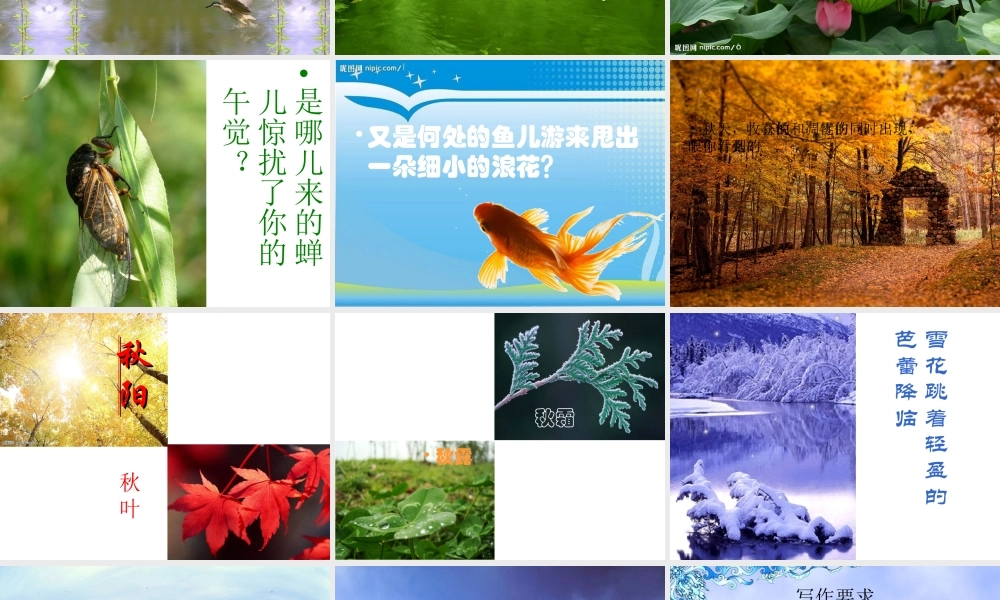 四季文笔精华练习
