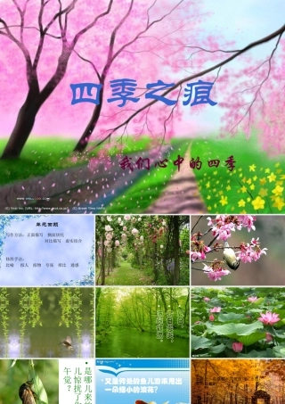 四季文笔精华练习