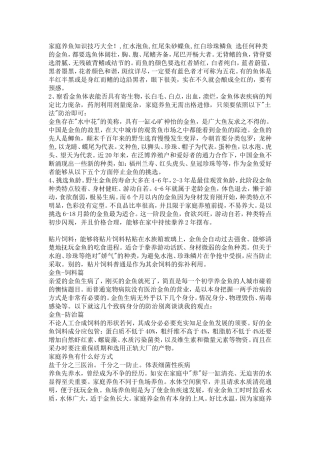 家庭养鱼知识技巧大全