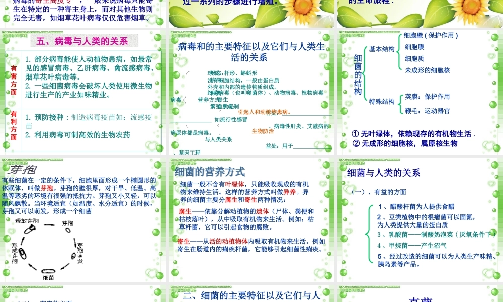 复习微生物(病毒、细菌、真菌)课件