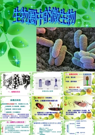 复习微生物(病毒、细菌、真菌)课件