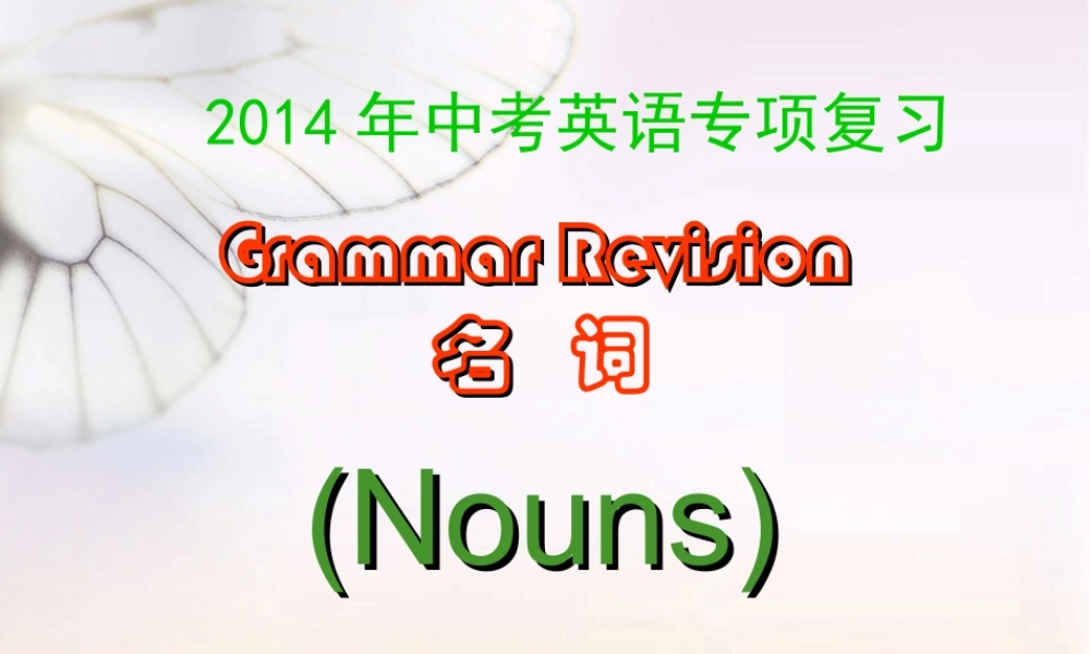 2014年九年级英语新目标中考专项---名词复习课件