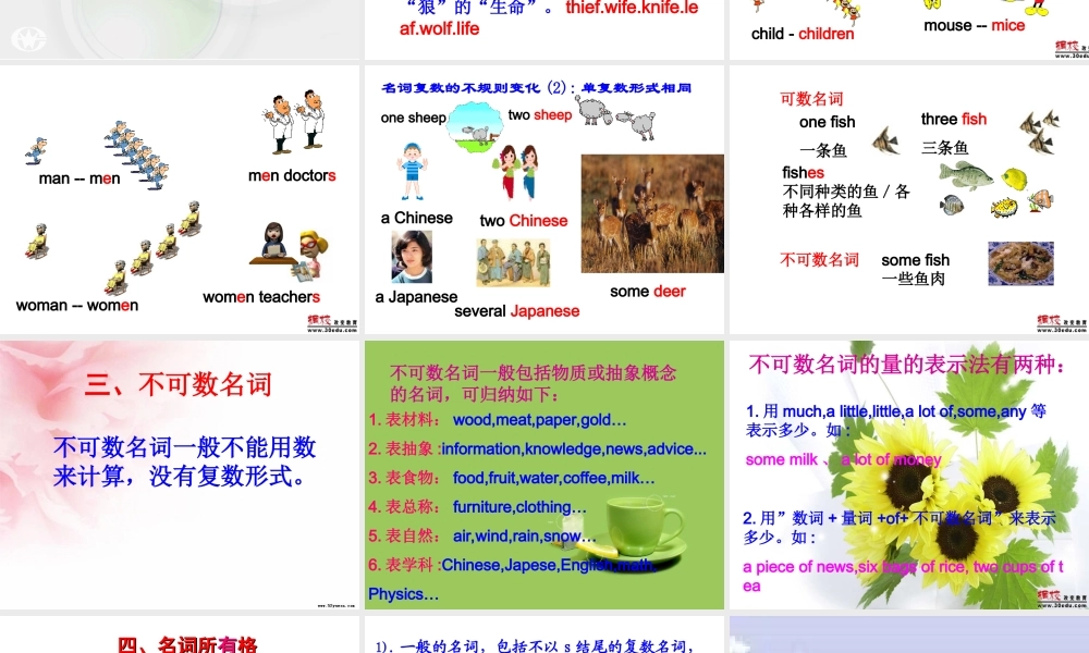 2014年九年级英语新目标中考专项---名词复习课件