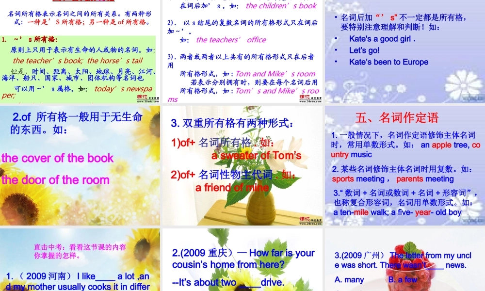 2014年九年级英语新目标中考专项---名词复习课件