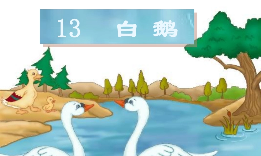 小学语文四年级上册13《白鹅》