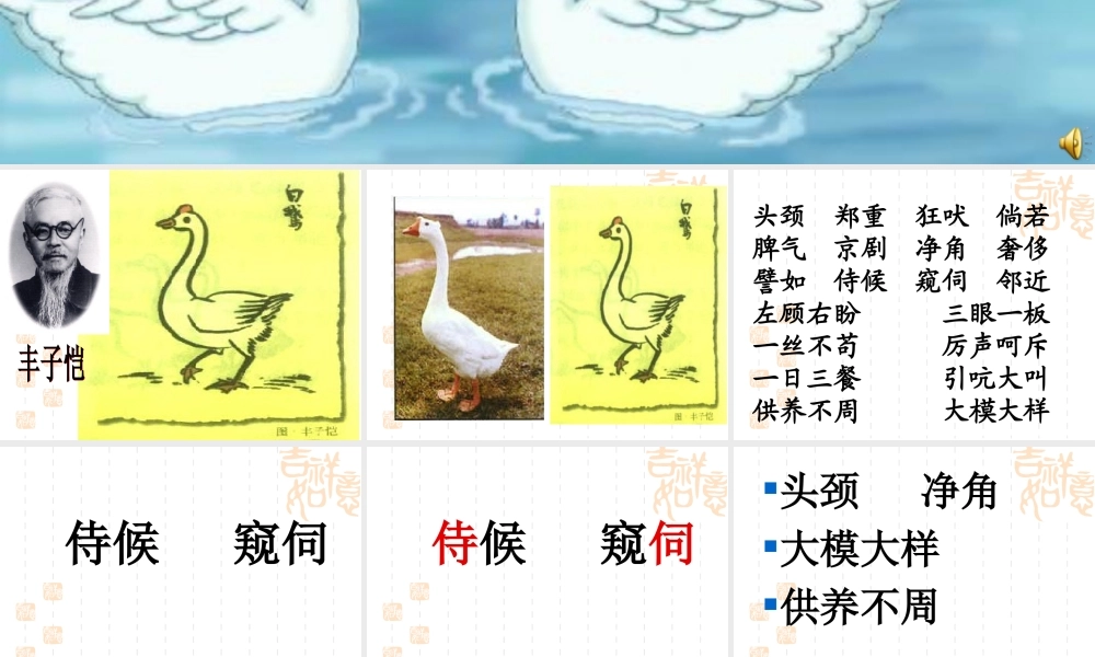 小学语文四年级上册13《白鹅》