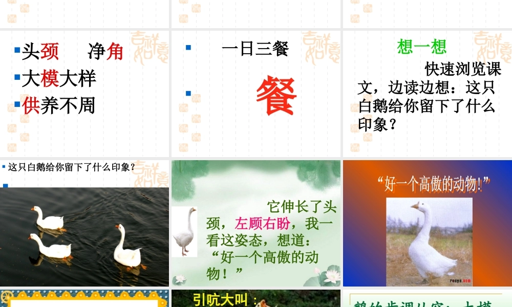 小学语文四年级上册13《白鹅》