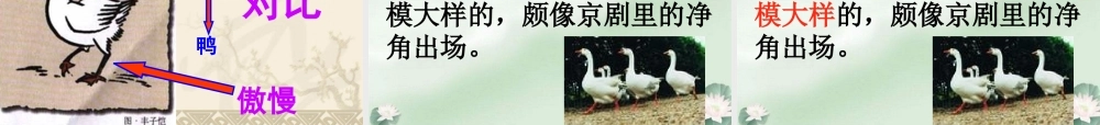 小学语文四年级上册13《白鹅》