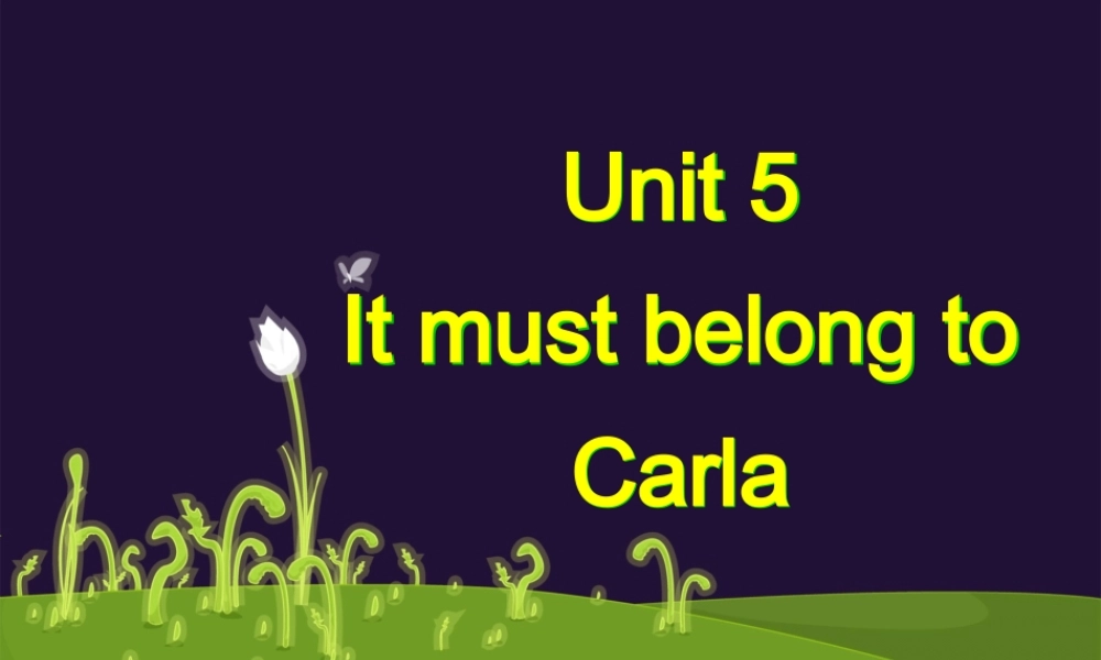 九年级英语Unit5ItmustbelongtoCarla新课标人教版