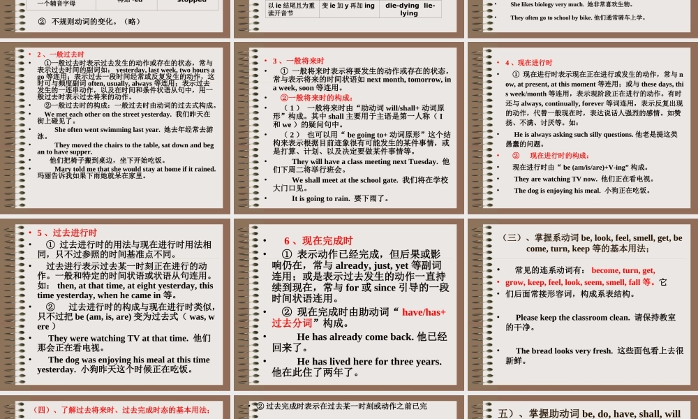 中考英语语法专项复习