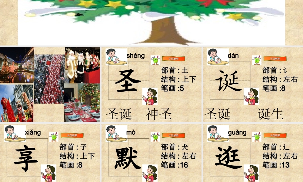 给予树PPT课件