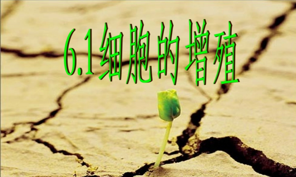 《细胞的增殖》课件（1）
