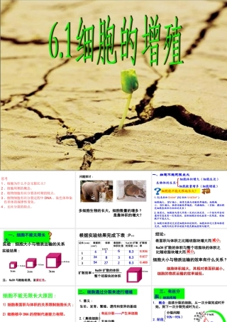 《细胞的增殖》课件（1）