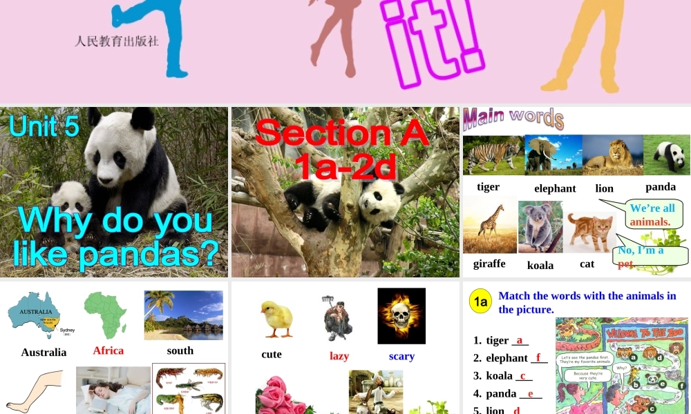 人教版七年级英语下册Unit_5_Why_do_you_like_pandas_课件PPT2013春 (2)