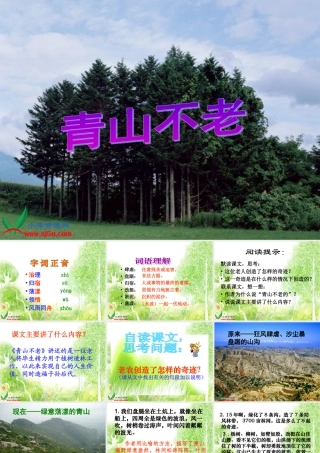 青山不老PPT课件