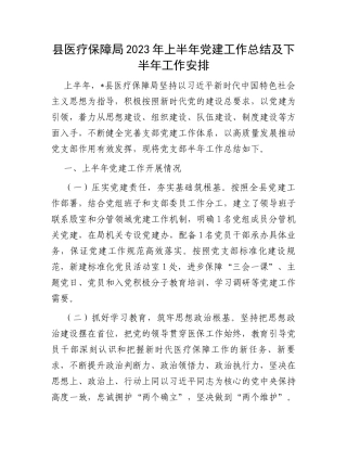 县医疗保障局2023年上半年党建工作总结及下半年工作安排