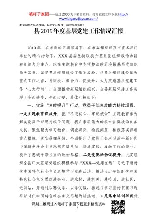 县2019年度基层党建工作情况汇报年度检查考核通用
