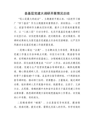 县基层党建大调研开展情况总结