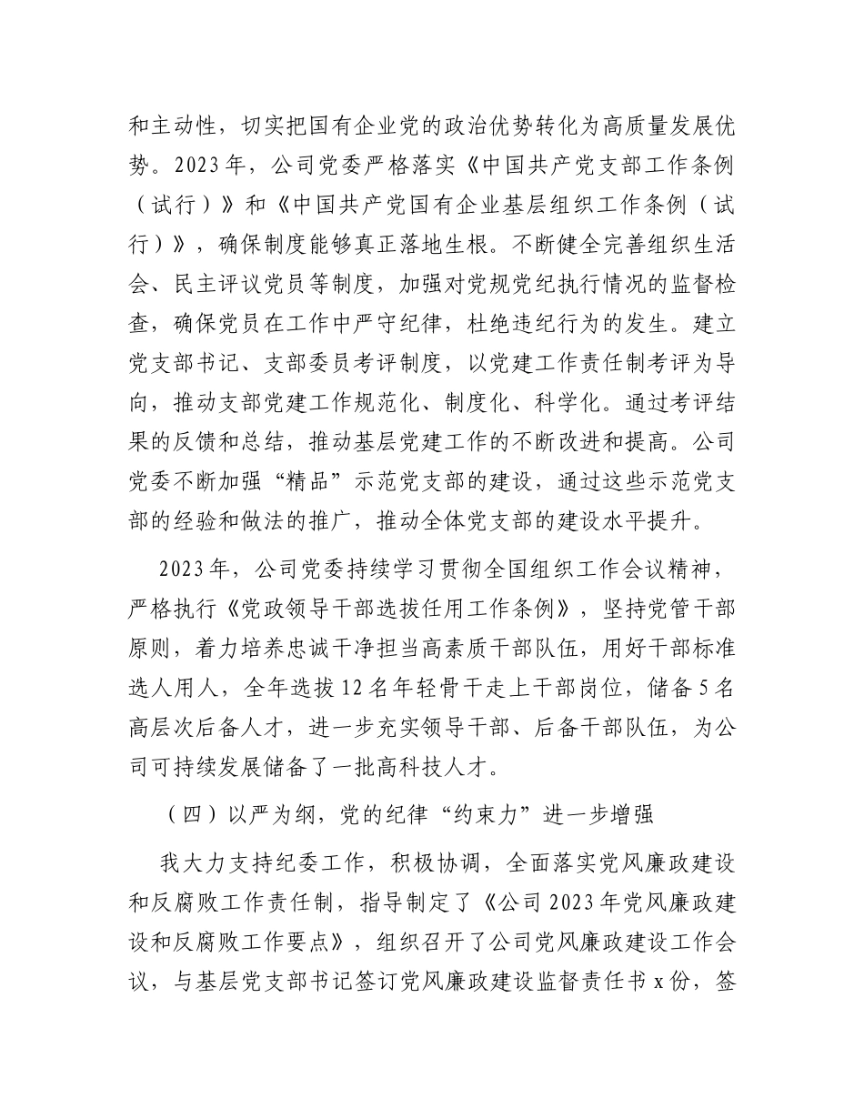 2023年公司党委书记抓党建述职报告_第3页