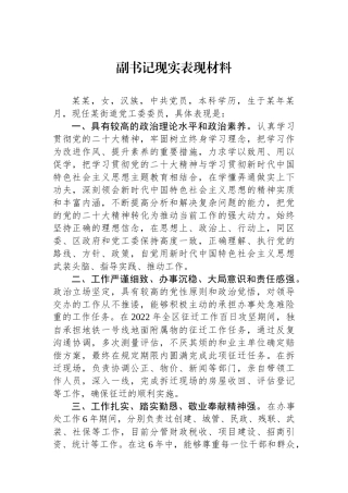 副书记现实表现材料