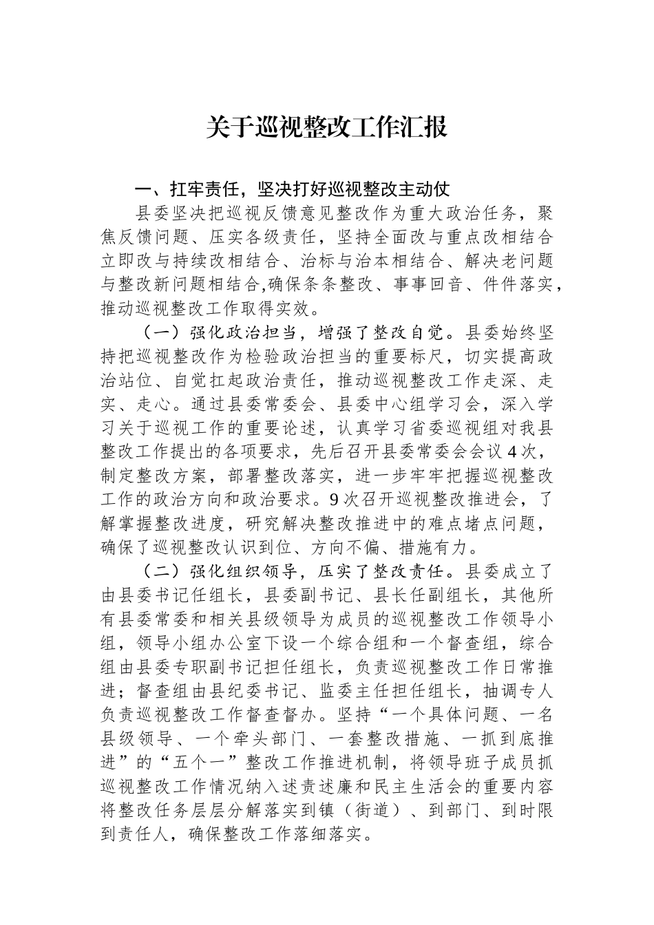 关于巡视整改工作汇报_第1页