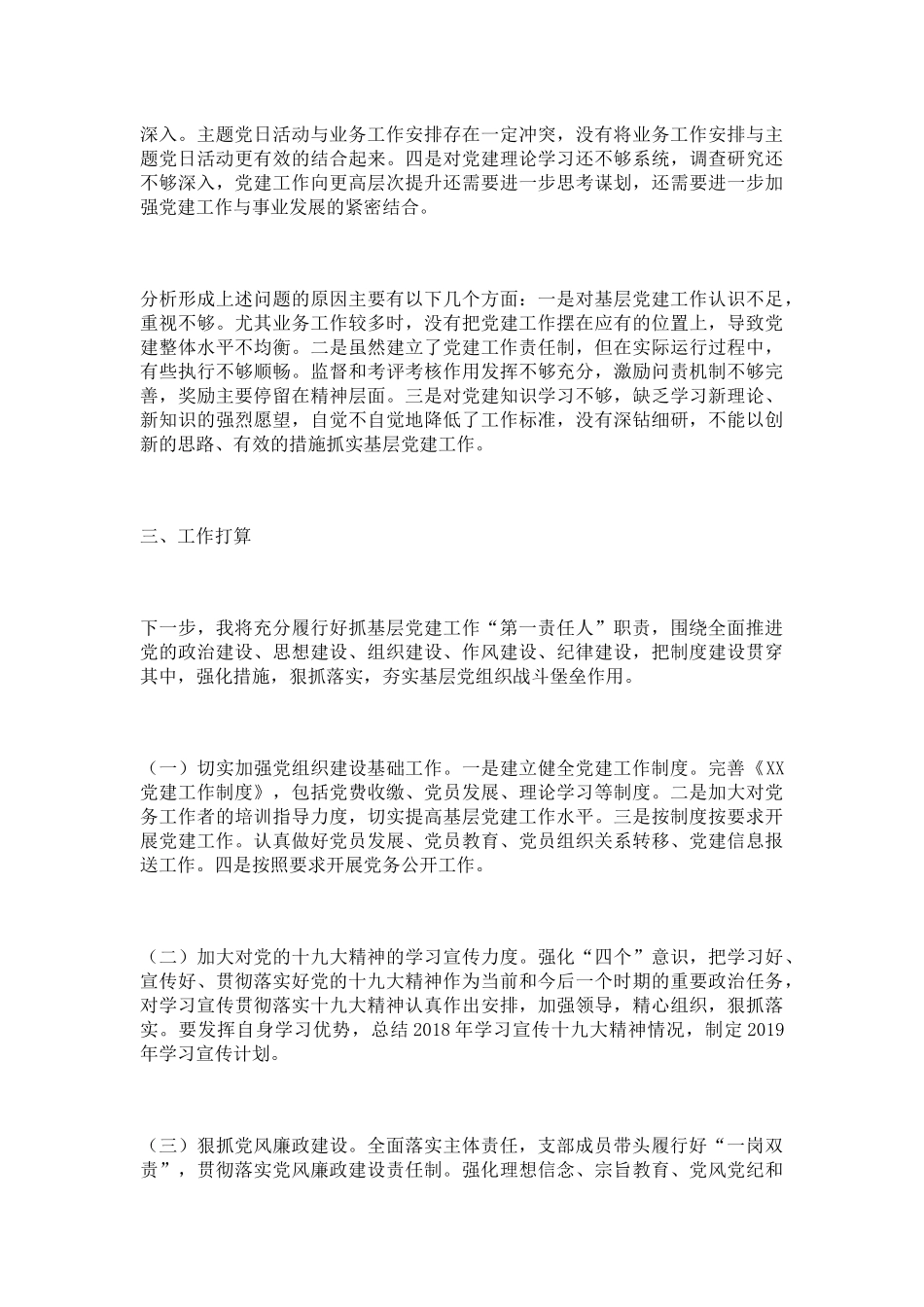 2018年党支部书记抓党建述职报告（通用）_第3页