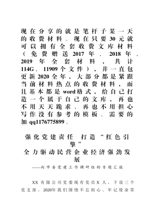 强化党建责任打造红色引擎全力驱动民营企业经济强劲发展向市委党建工作调研组的专题汇报