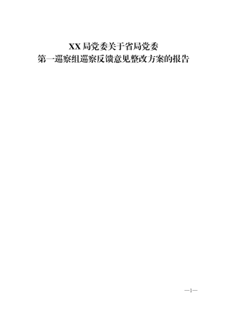 巡察组巡察反馈意见整改方案的报告