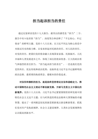 【心得体会】担当起该担当的责任