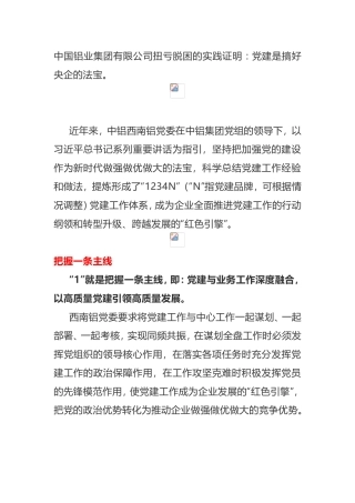【案例】中铝西南铝“1234N”党建工作体系解读