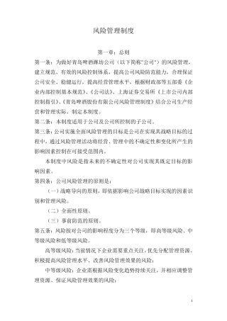 (风险管理)风险管理制度