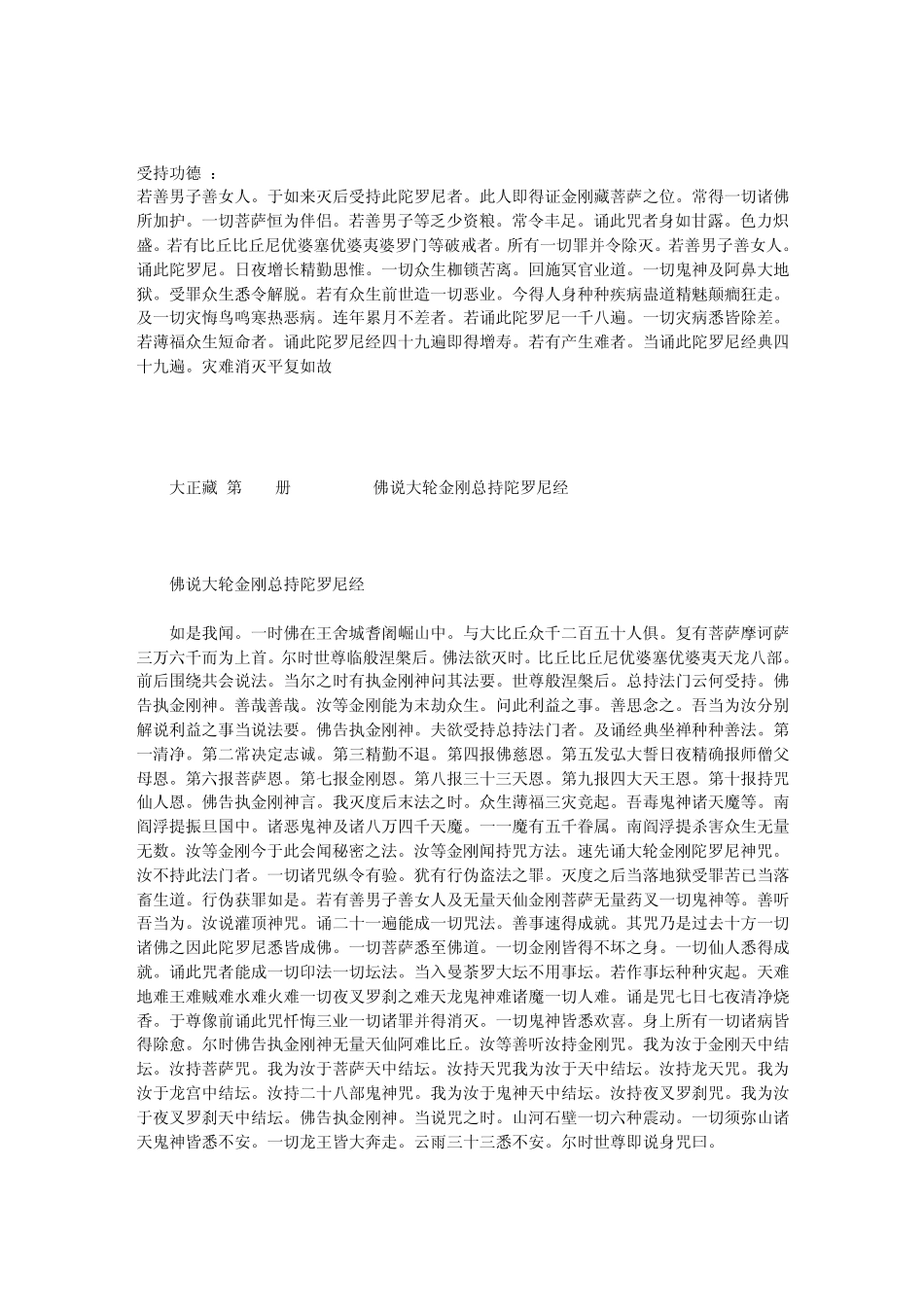 00大轮金刚陀罗尼_第3页