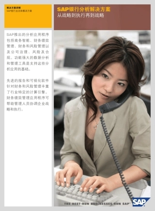 01.SAP银行业分析型银行系统(AB)