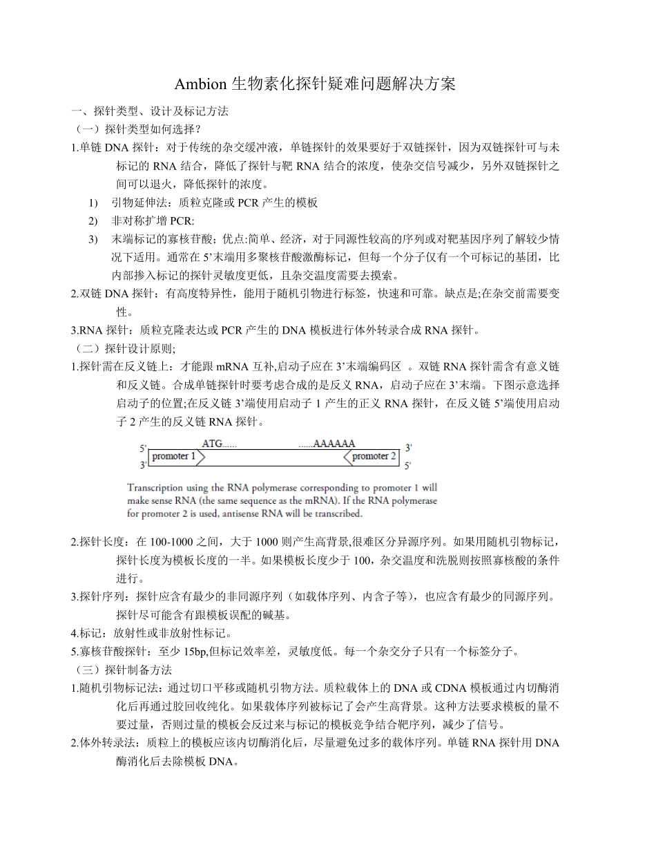 NorthernBlot注意事项_第2页