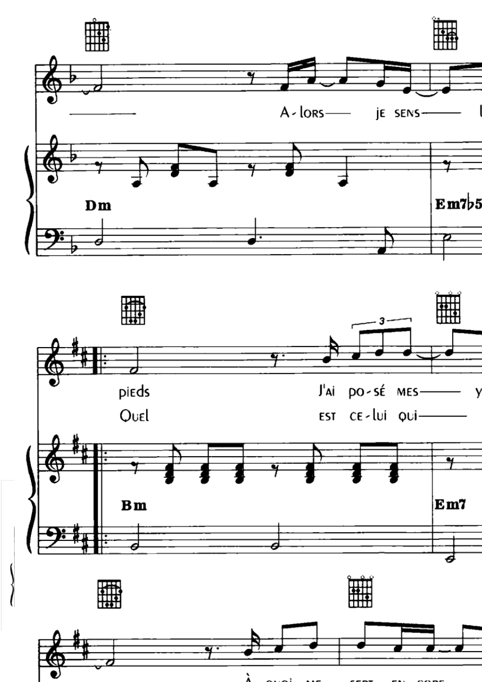 NotreDamedeParis_belle_法语音乐剧巴黎圣母院曲谱20_第2页
