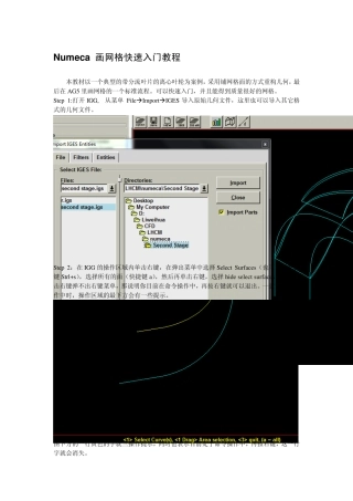 Numeca画网格快速入门教程