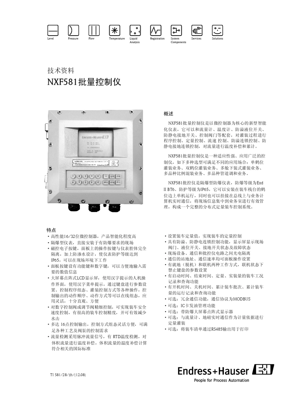 NXF581批量控制仪_第1页