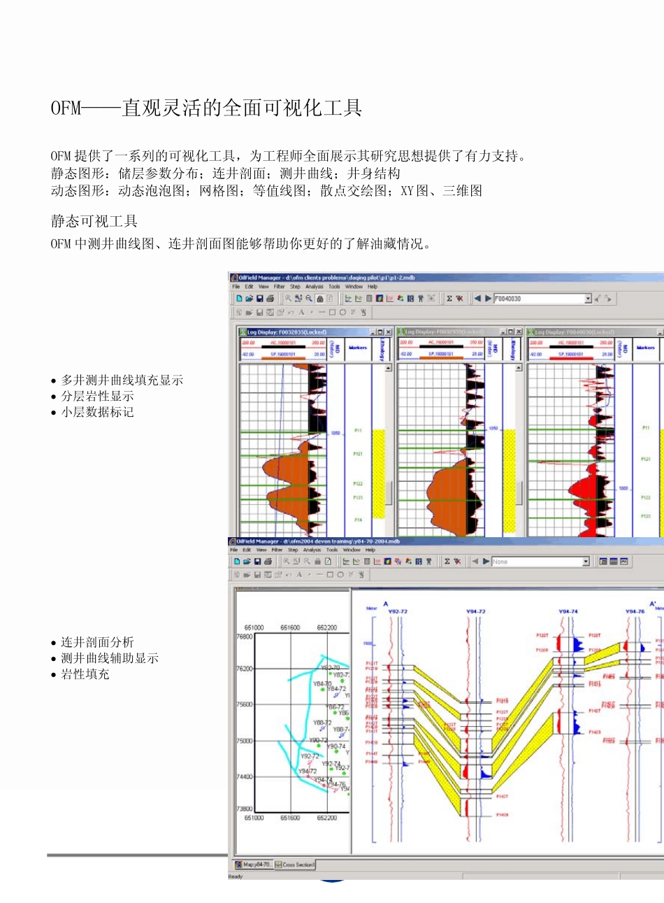 OFM油藏工程师桌面办公工具_第3页