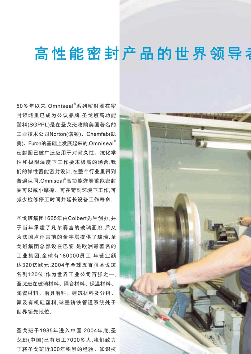 OmniSeal弹簧蓄能密封圈_第2页